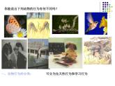 2018年秋人教版生物八年级下册教学课件：  第五单元 第二章 第二节  先天性行为和学习行为