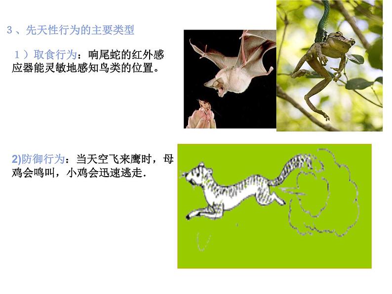 2018年秋人教版生物八年级下册教学课件：  第五单元 第二章 第二节  先天性行为和学习行为第5页