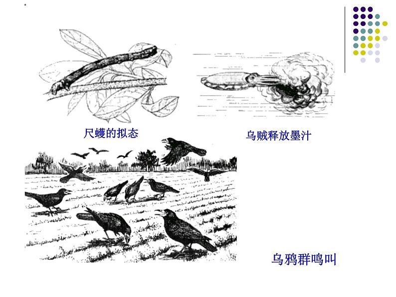 2018年秋人教版生物八年级下册教学课件：  第五单元 第二章 第二节  先天性行为和学习行为第6页