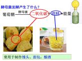 2018年秋人教版生物八年级下册教学课件：  第五单元 第4章 第五节  人类对细菌和真菌的利用