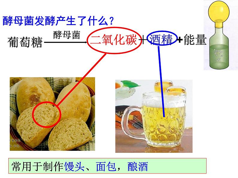 2018年秋人教版生物八年级下册教学课件：  第五单元 第4章 第五节  人类对细菌和真菌的利用03