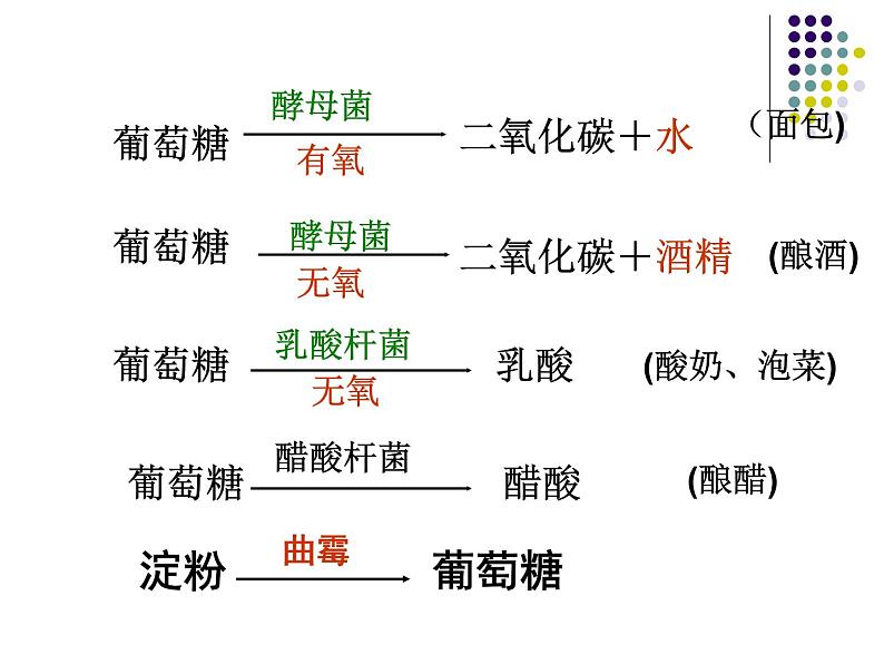 2018年秋人教版生物八年级下册教学课件：  第五单元 第4章 第五节  人类对细菌和真菌的利用第6页