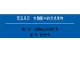 第五单元-第二章-第三节　社会行为 课件