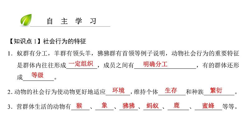 第五单元-第二章-第三节　社会行为 课件04