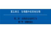 第五单元-第二章-第一节　动物的运动 课件