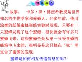 第三节 社会行为 课件