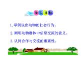 第三节 社会行为 课件