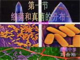 八年级生物上册第五单元第四章第一节 细菌和真菌 课件