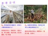 八年级生物上册第五单元第四章第一节 细菌和真菌 课件