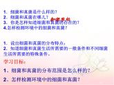 八年级生物上册第五单元第四章第一节 细菌和真菌 课件