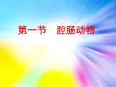 八年级生物腔肠动物 课件
