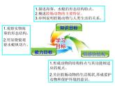 八年级生物腔肠动物 课件