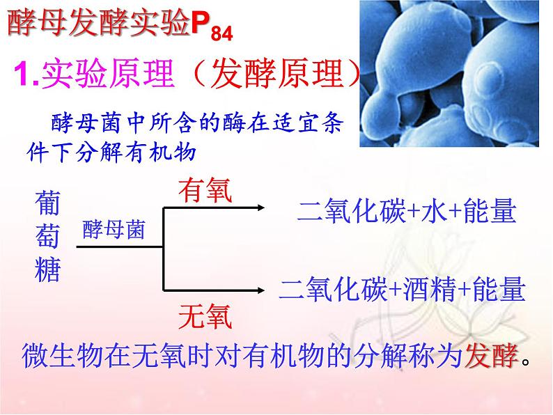 八年级生物第五单元第四章第五节 人类对细菌和真菌的利用 课件05