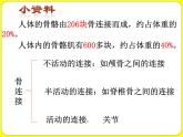 人教版八年级生物上册  第五单元第二章第一节 动物的运动 课件