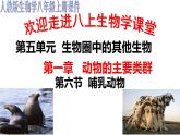 人教版八年级上册生物课件第五单元第一章 第七节 哺乳动物(课件 视频)