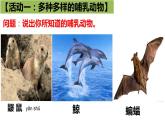 人教版八年级上册生物课件第五单元第一章 第七节 哺乳动物(课件 视频)