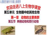 人教版八年级生物上册  5.1.5  两栖动物和爬行动物 （39张PPT 视频素材）