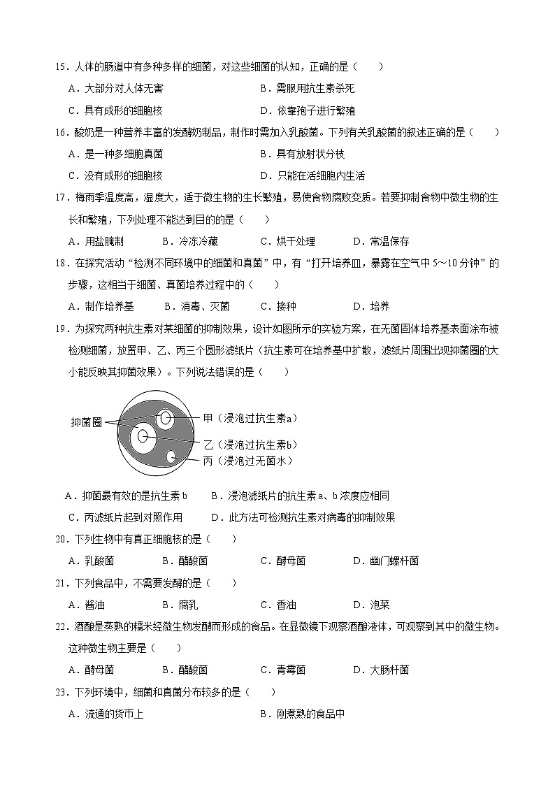 人教版生物八年级上册第五单元 第四章 细菌和真菌 复习题（解析版）03