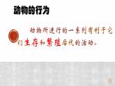 第二节 先天性行为和学习行为 课件