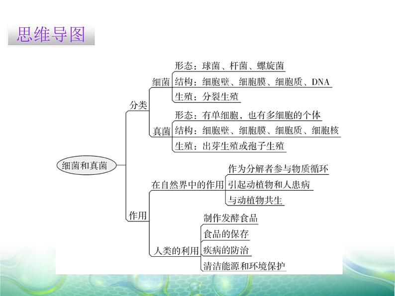 第五单元 第4章 章末总结 课件02