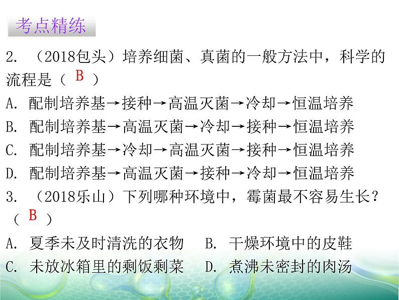 第五单元 第4章 章末总结 课件05