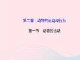 八年级生物上册第五单元第二章第一节动物的运动课件新版新人教版