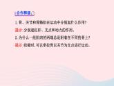 八年级生物上册第五单元第二章第一节动物的运动课件新版新人教版