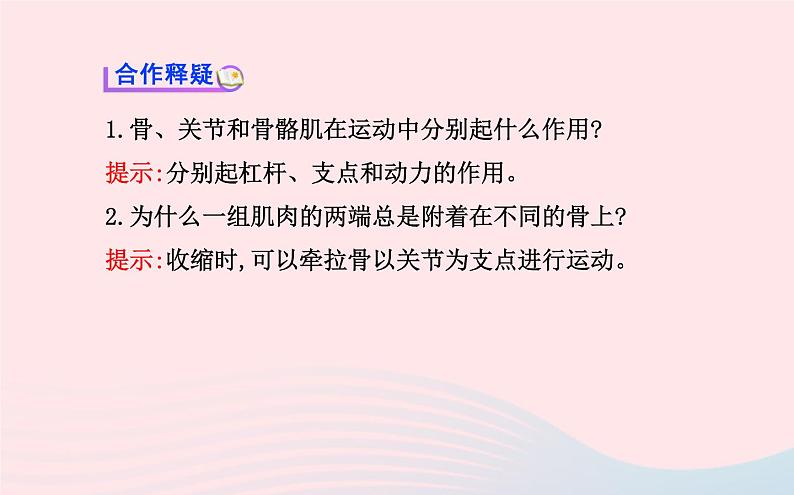 八年级生物上册第五单元第二章第一节动物的运动课件新版新人教版05