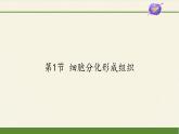 北师大版初中生物七年级上册 2.4.1 细胞分化形成组织 课件