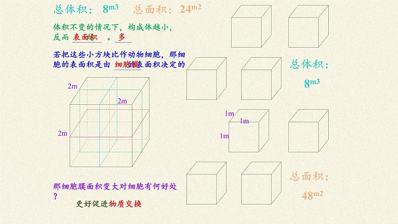 北师大版初中生物七年级上册 2.3.3 细胞通过分裂而增殖 课件04