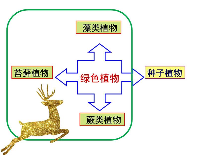 济南版七年级生物上册  2.1.1  绿色植物的主要类群（1） 课件（29张PPT）02