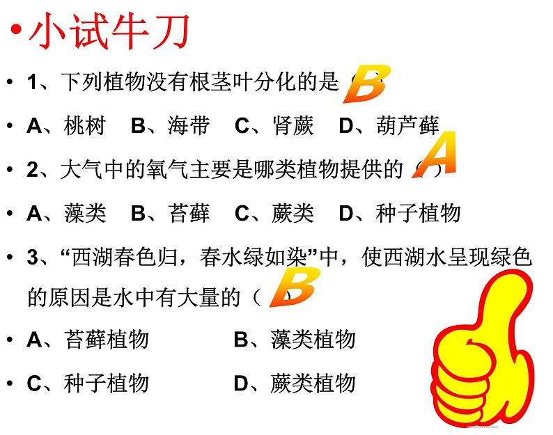 济南版七年级生物上册  2.1.1  绿色植物的主要类群（1） 课件（29张PPT）08