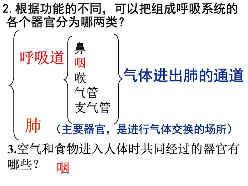 4.3.1呼吸道对空气的处理 课件-鲁教版（五四制）七年级生物上册06