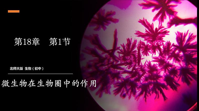 专题18.1 微生物在生物圈中的作用（课件）-2019-2020学年八年级上册生物同步精品课堂（北师大版）(共26张PPT)01