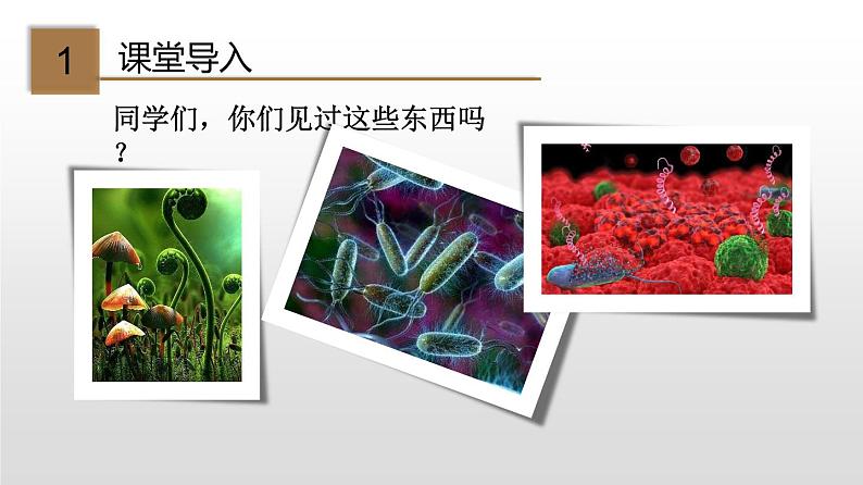 专题18.1 微生物在生物圈中的作用（课件）-2019-2020学年八年级上册生物同步精品课堂（北师大版）(共26张PPT)02