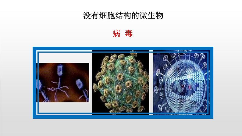 专题18.1 微生物在生物圈中的作用（课件）-2019-2020学年八年级上册生物同步精品课堂（北师大版）(共26张PPT)06