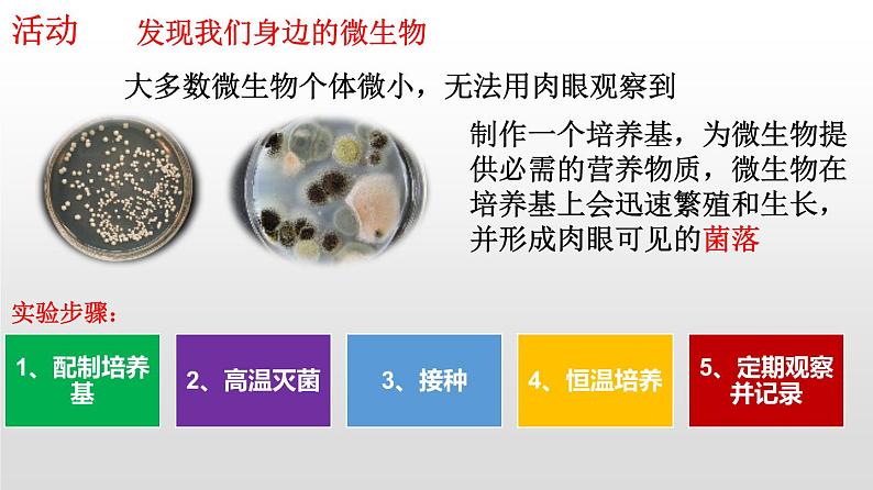 专题18.1 微生物在生物圈中的作用（课件）-2019-2020学年八年级上册生物同步精品课堂（北师大版）(共26张PPT)07