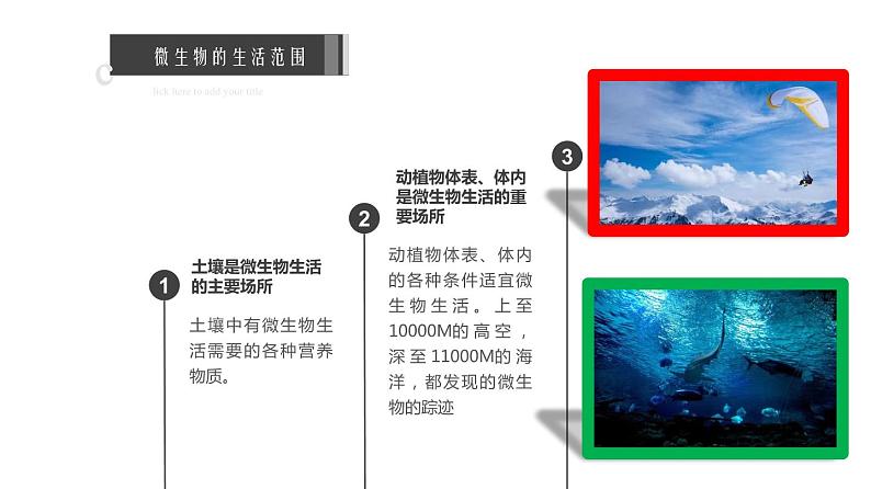 专题18.1 微生物在生物圈中的作用（课件）-2019-2020学年八年级上册生物同步精品课堂（北师大版）(共26张PPT)08