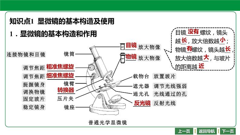 人教版2021年中考一轮复习生物课件 第二单元 第一章　细胞是生命活动的基本单位第4页