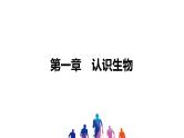 人教版2021年中考一轮复习生物课件  第一单元 第一章　认识生物 课件