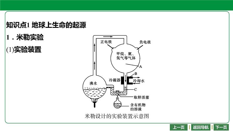 人教版2021年中考一轮复习生物第七单元 第三章 生命起源和生物进化 课件04