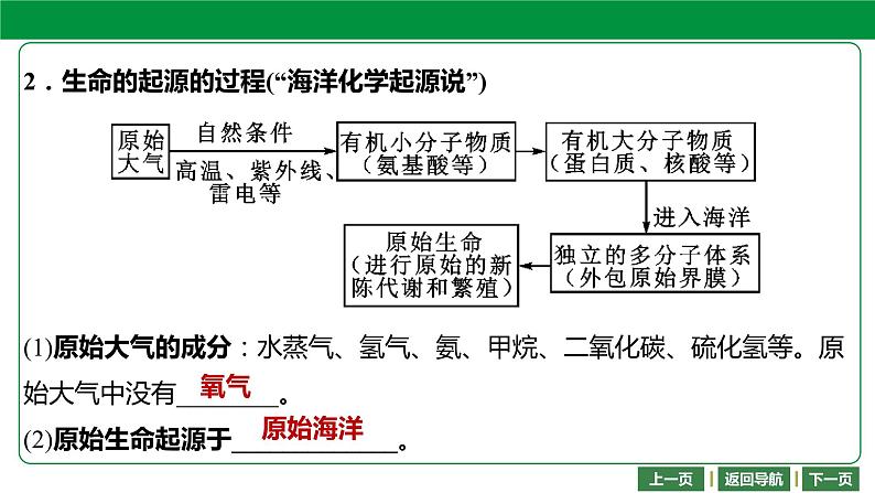 人教版2021年中考一轮复习生物第七单元 第三章 生命起源和生物进化 课件06