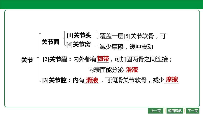 人教版2021年中考一轮复习生物 第五单元 第二章—第三章 课件第7页