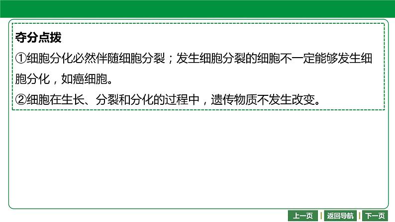 人教版2021年中考一轮复习生物课件   第二单元 第二章　细胞怎样构成生物体 （共71张PPT）07