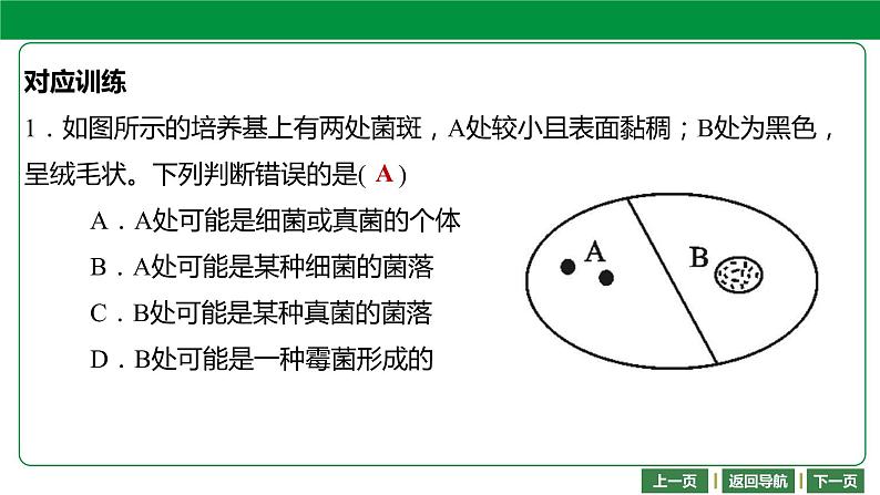 人教版2021年中考一轮复习生物 第五单元 第四章-第五章 课件08