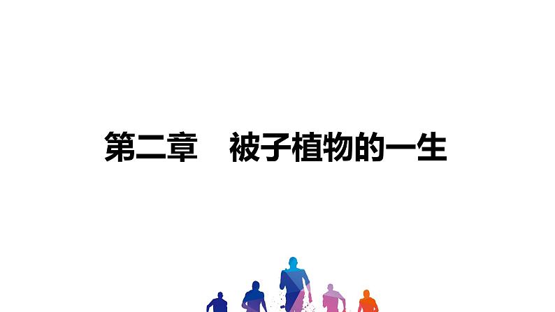 人教版2021年中考一轮复习生物课件 第三单元 第二章　被子植物的一生01