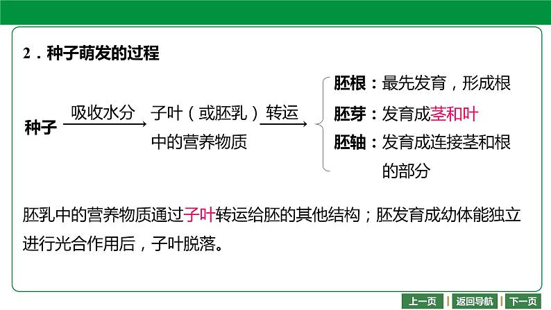 人教版2021年中考一轮复习生物课件 第三单元 第二章　被子植物的一生05