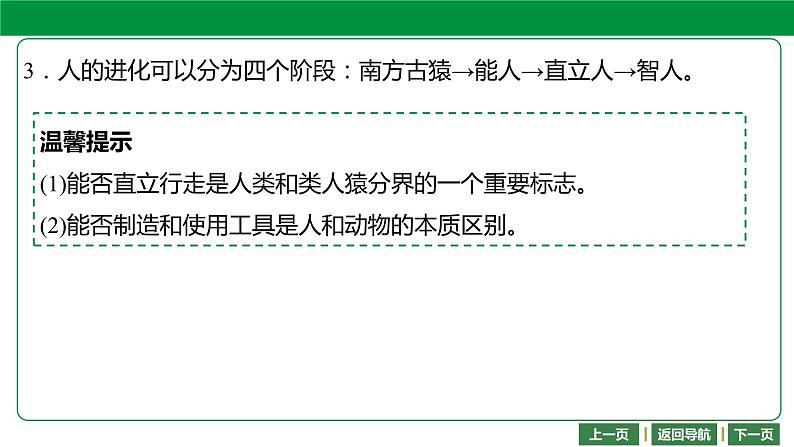 人教版2021年中考一轮复习生物 第四单元 第一章   人的由来 课件04