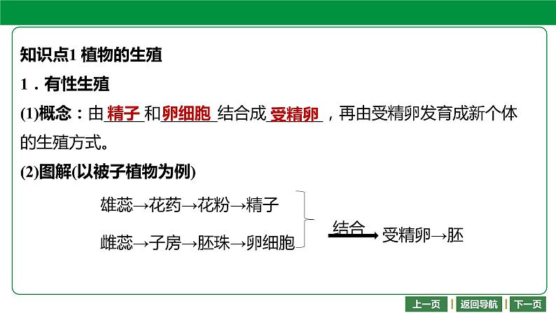 人教版2021年中考一轮复习生物第七单元 第一章 生物的生殖和发育 课件第4页