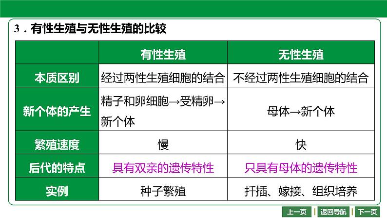 人教版2021年中考一轮复习生物第七单元 第一章 生物的生殖和发育 课件第6页